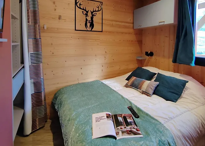 Cosy 6 Pers. Skis Aux Pieds, Balcon, 2 Ch. A - Fr-1-545-45